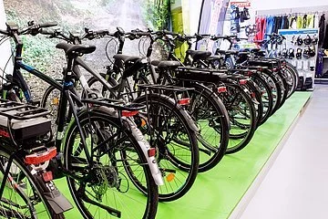 ebike plus